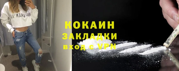 ГАЛЛЮЦИНОГЕННЫЕ ГРИБЫ Аркадак