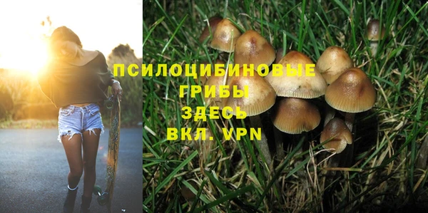 ГАЛЛЮЦИНОГЕННЫЕ ГРИБЫ Аркадак