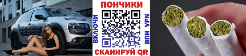 omg маркетплейс  купить наркотики цена  Михайловск  Шишки марихуана тримм 